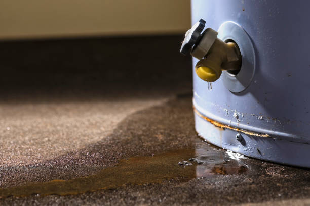 Best Fire Damage Restoration  in Hartland, WI