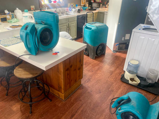 Best Water damage cleanup near me  in Hartland, WI
