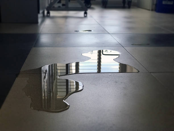 Best Carpet water damage restoration  in Hartland, WI