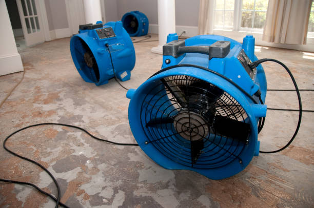 Best Flood damage cleanup  in Hartland, WI