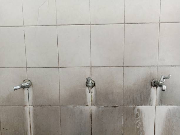 Best Water damage restoration experts  in Hartland, WI