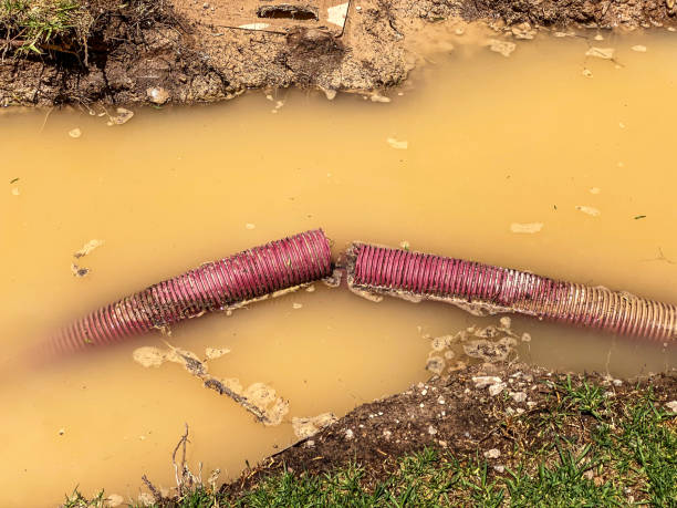 Best Emergency water damage restoration  in Hartland, WI