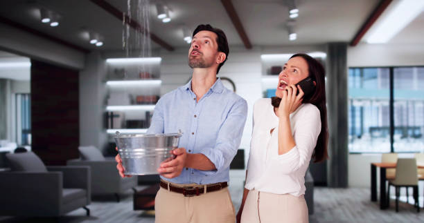 Best Residential water damage restoration  in Hartland, WI